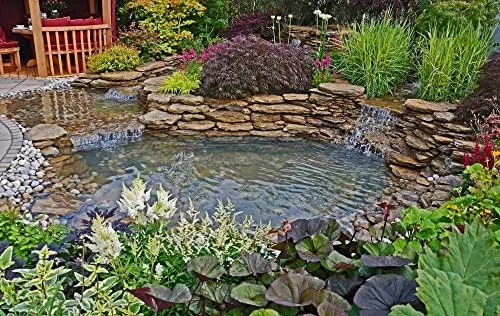 Backyard koi pond built with a LifeGuard EPDM liner